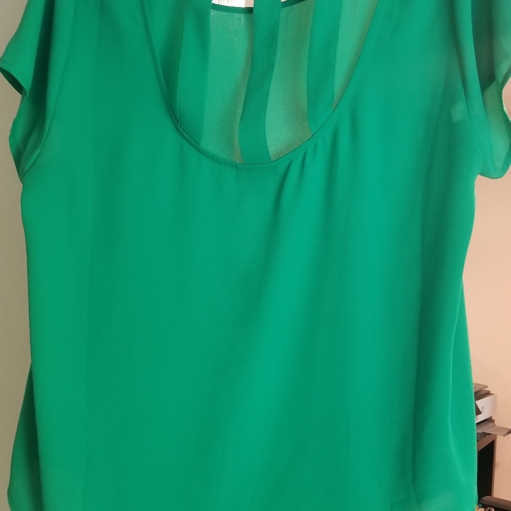 Torrid Top